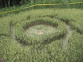 crop circle/dtc