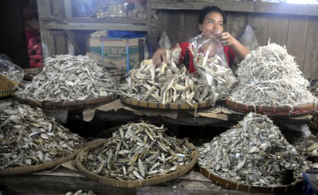 100111_SOLO_IKAN ASIN2
