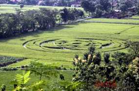 CropCircle-D