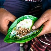 daun-sirih