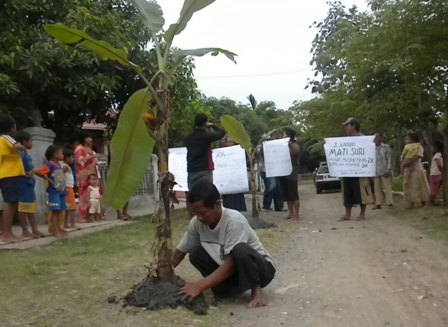tanam pisang