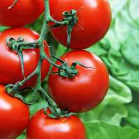 foto: Thinkstock