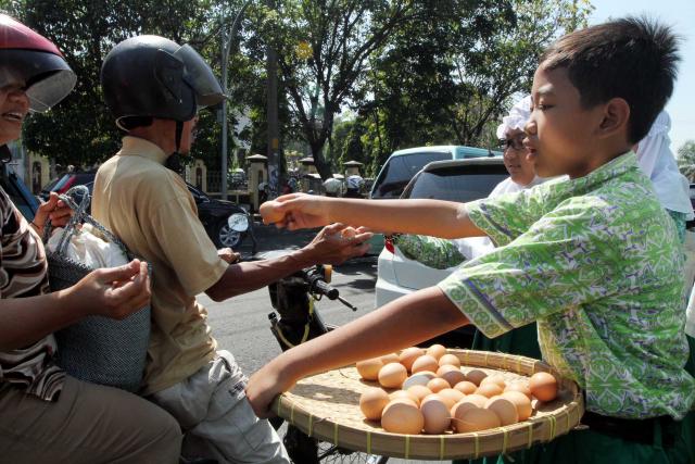 310711_SOLO_BAGI TELUR2
