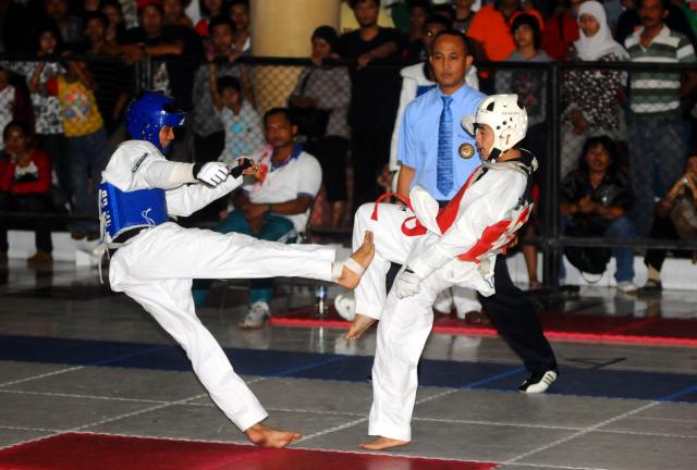 TAEKWNDO2