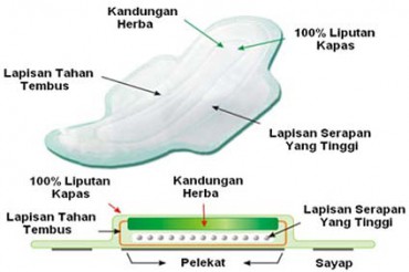 google.img