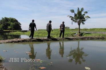 15kolam (3)