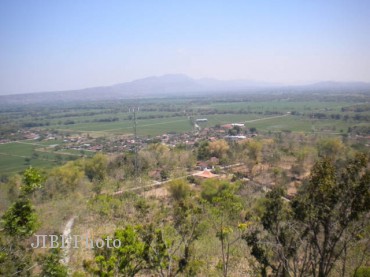taruwongso