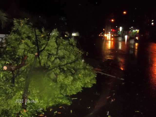 Sebatang pohon tumbang di depan Markas Kodim 0728 Wonogiri akibat terjangan angin kencang, Sabtu (3/11.2012) petang. (JIBI/SOLOPOS/Andi Sumarsono)