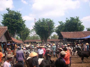 0912-Pasar-Hewan-Sunggingan