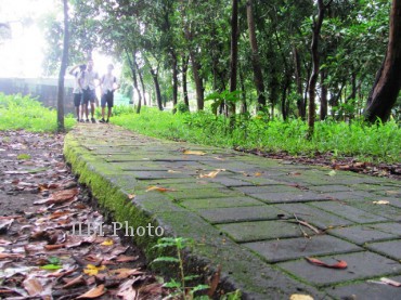 Suasana hutan kota Klaten (M Khodiq Duhri/JIBI/SOLOPOS)