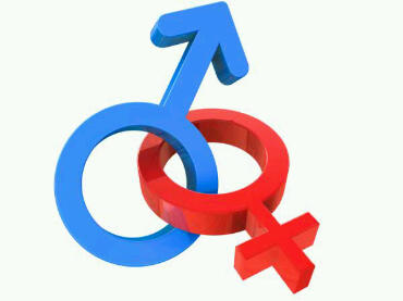 Ilustrasi gender