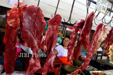 sapi impor Hatta Rajasa masuk indonesia Menko perekonomian -Umum