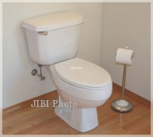 JIBI/Harian Jogja/Istimewa
Ilustrasi Toilet bloguin.com