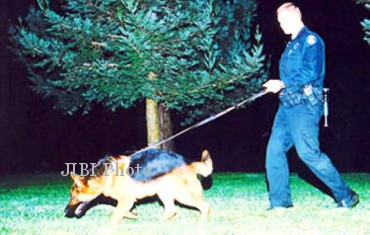 K9 anjing pelacak kepolisian
