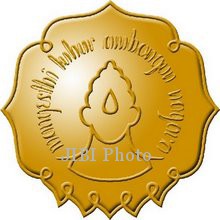 Logo UNS