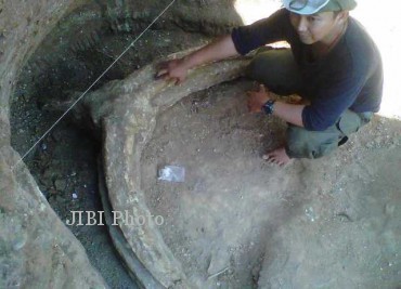 Fosil kerbau purba