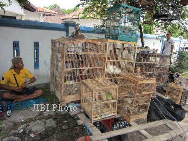 Salah satu pemandangan penjualan burung di Kebakkramat, Karanganyar, Selasa (26/11/2013). Seiring berlangsungnya musim hujan, harga burung pentet mengalami penurunan dibandingkan beberapa waktu sebelumnya. ( Ponco Suseno/JIBI/Solopos)