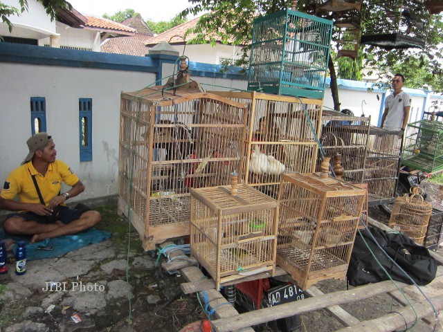 Salah satu pemandangan penjualan burung di Kebakkramat, Karanganyar,
Selasa (26/11/2013). Seiring berlangsungnya musim hujan, harga burung
pentet mengalami penurunan dibandingkan beberapa waktu sebelumnya. (
Ponco Suseno/JIBI/Solopos)