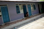 Rumah Indekos