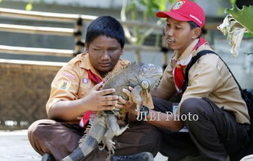 MENCOBA BERINTERAKSI DENGAN IGUANA