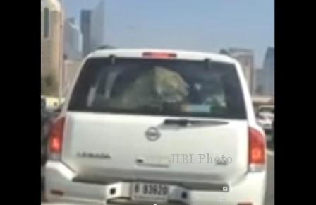 Singa di mobil jalanan Dubai (Youtube)