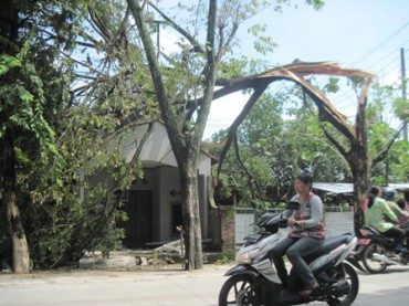 Sebuah pohon trembesi menimpa rumah di Dukuh Sidodadi, Kelurahan Karangtengah, Sragen. Angin kencang yang menerjang kawasan Pasar Nglangon, Jumat (8/3) petang membuat sejumlah pohon roboh. Foto diambil Sabtu (8/3).(JIBI/Solopos/Taufiq Sidik Prakoso)