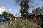 Membahayakan Pengguna Jalan