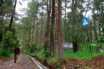 Aneka pemandangan Taman Hutan Rakyat (Tahura) K.G.P.A.A. Mangkunergoro I yang terletak di Dusun Sukuh, Desa Berjo, Kecamatan Ngargoyoso, Karanganyar . Foto diambil belum lama ini. (Ponco Suseno/JIBI/Solopos)