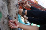 AKSI CINTA LINGKUNGAN