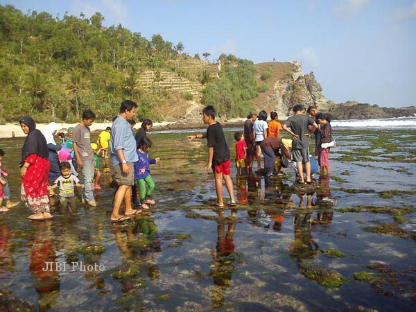 Anak-anak diajak mengenali biota laut di Pantai Siung, Purwodadi, Tepus, Minggu (24/8/2014). (JIBI/Harian Jogja/Koper Mandiri/Katamata)
