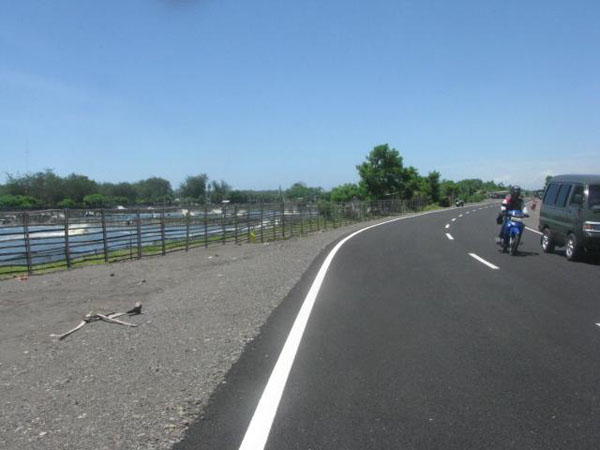Kolam tambak udang tampak berdekatan dengan jalur jalan lintas selatan di Desa Poncosari, Kecamatan Srandakan, Rabu (7/1/2015). Keberadaan tambak nantinya tergusur proyek jalan karena lebar JJLS diperluas sampai 30 meter. (JIBI/Harian Jogja/Bhekti Suryani)