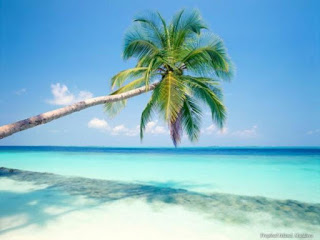 Pulau Seribu (lintaspulauseribu.com)