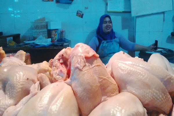 Suharti memamerkan sisa daging ayam yang belum terjual di Pasar Beringharjo, Senin (13/7/2015). (JIBI/Harian Jogja/Abdul Hamied Razak)