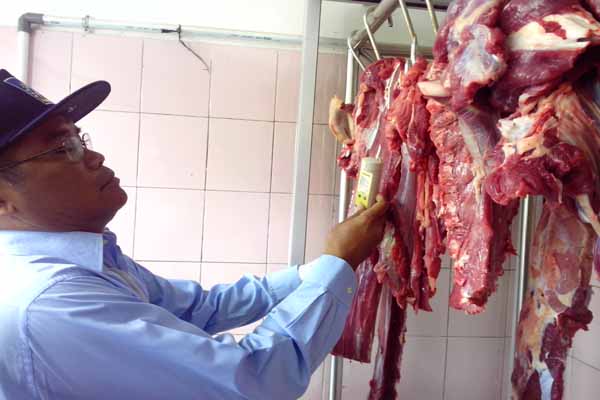 Petugas Dinas Pertanian, Peternakan, dan Kehutanan (DPPK) Sleman mengecek kadar air pada daging sapi di Pasar Pakem, Rabu (1/7/2015). (JIBI/Harian Jogja/Bernadheta Dian Saraswati)