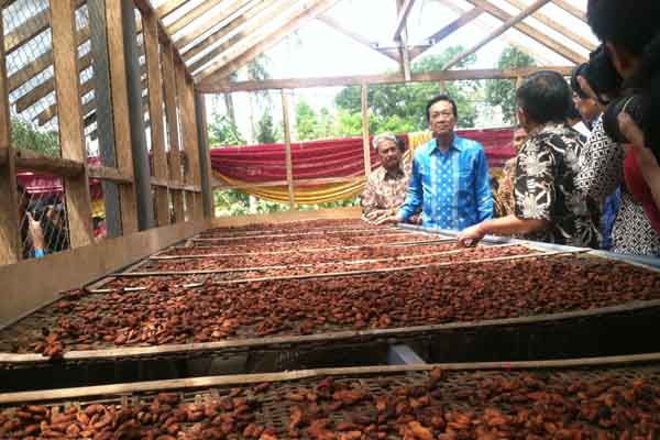 Gubernur Daerah Istimewa Yogyakarta, Sri Sultan Hamengku Buwono X didampingi Pelaksana tugas Bupati Gunungkidul, Budi Antono sedang memantau lokasi petani menjemur kakao di Dusun Gambiran, Desa Bunder, Kecamatan Patuk, Rabu (16/9/2015). (Harian Jogja/Uli Febriarni)