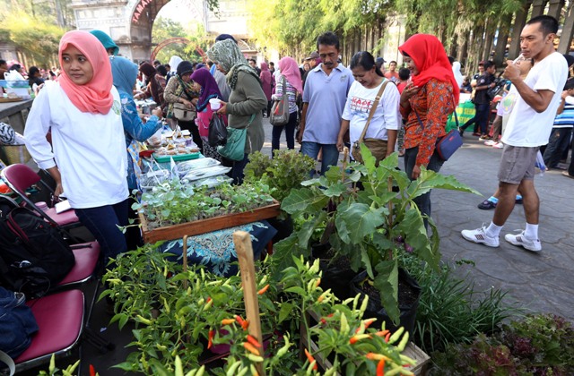 Warga memilih tanaman sayuran organik pada acara peringatan Hari Pangan Dunia 2015 saat car free day (CFD) di Plaza Sriwedari, Solo, Minggu (18/10/2015). (Ivanovich Aldino/JIBI/Solopos)