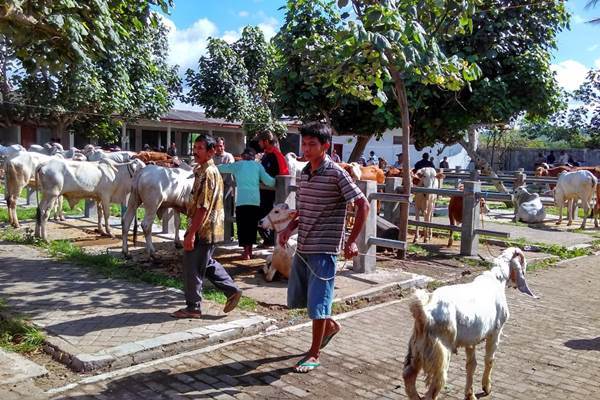Puluhan hewan ternak diperjualbelikan di Pasar Legi Pengasih, Kulonprogo, Senin (28/12/2015). (Rima Sekarani I.N./JIBI/Harian Jogja)