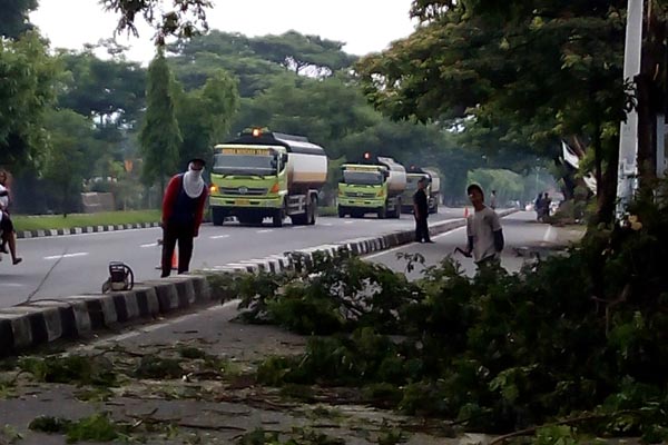 Petugas PLN melakukan penebangan pohon di sepanjang Ringroad antara simpang Jalan Parangtritis sampai simpang Jalan Wonosari, Kamis (17/12/2015). (Rina WIjayanti/JIBI/Harian Jogja)