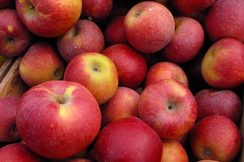 Buah apel. (Listverse.com)