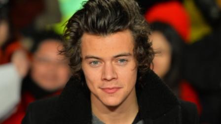 Harry Styles (www.latinpost.com)