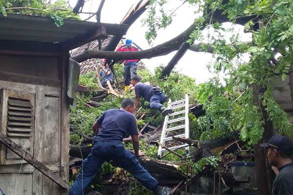 BPBD Kabupaten Bantun dibantu Koramil, Polsek, dan relawan saat membersihkan pohon tumbang yang menimpa gudang kayu jati di Dusun Jaranan, Kepanjen, Banguntapan, Bantul, Kamis (31/3/2016). (Yudho Priambodo/JIBI/Harian Jogja)