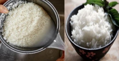 Ilustrasi nasi (healthyandnaturalhouse.com)