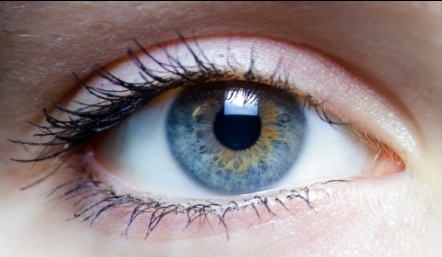 Ilustrasi warna iris (Wikimedia.org)