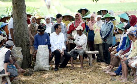Presiden Jokowi didampingi Ibu Iriana berdialog dengan petani di Desa Luwung Gede, Kecamatan Larangan, Brebes, Jawa Tengah, Senin (11/4/2016). (Setkab)