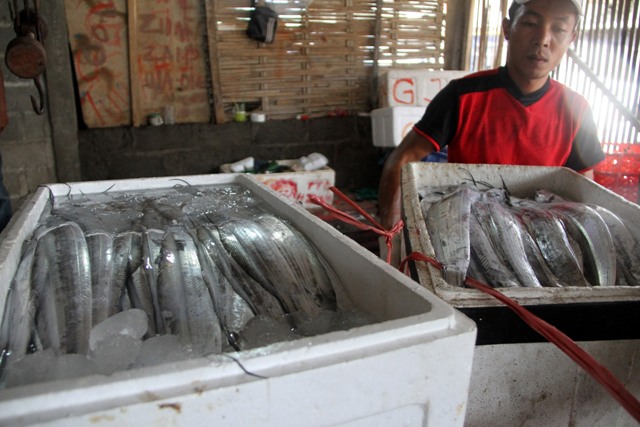 Pekerja mengemas ikan layur hasil tangkapan nelayan di sekitar Pelabuhan Tradisional Pantai Sine, Tulungagung, Jawa Timur, Jumat, (8/4/2016). (JIBI/Solopos/Antara/Destyan Sujarwoko)