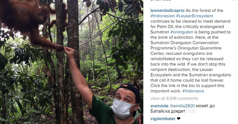 Foto Leonardo DiCaprio di Sumatera. (Istimewa/Instagram)