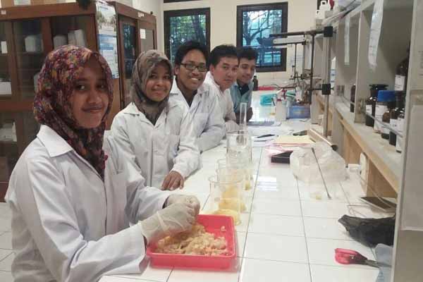 Shank ayam sebagai pengganti plastik dodol (JIBI/Harian Jogja/dok. UGM)
