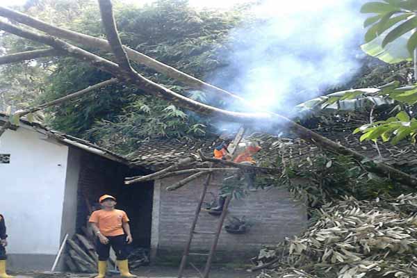 Angin puting beliung di Mlati Sleman menimbulkan sejumlah kerusakan (Abdul Hamied Razak/JIBI/Harian Jogja)