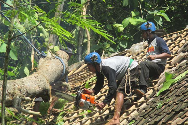 Sejumlah petugas dari Badan Penangulangan Bencana Daerah Kabupaten Bantul dibantu warga mengevakuasi pohon tumbang yang menimpa rumah warga akibat angin puting beliung, di Dusun Depok, Desa Gilangharjo, Kecamatan Pandak, Bantul. Senin (8/11). (JIBI/Irwan A. Syambudi)
