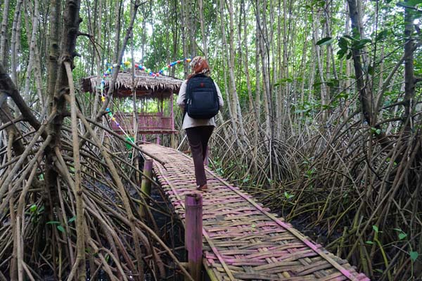 Gua mangrove menjadi alternatif objek wisata yang bisa ditemukan di kawasan wisata Pasir Mendhit, Jangkaran, Temon, Kulonprogo. Gua in menyediakan sensasi menelusuri lorong rindang daro pohon yang efektif menahan abrasi pantai ini, November 2016. (Sekar Langit Nariswari/JIBI/Harian Jogja)